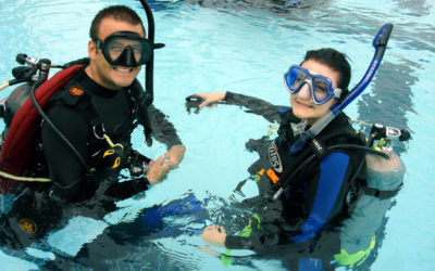 The British Diving Safety Group (BDSG) will endorse the resumption of diving, but not yet .