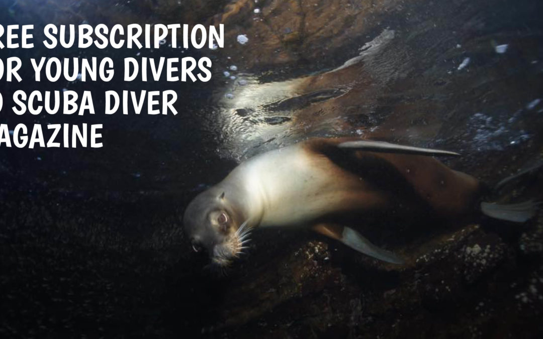 Free magazine subscription for young divers